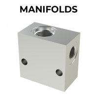 MANIFOLDS - Valve bodies with SAE cavities